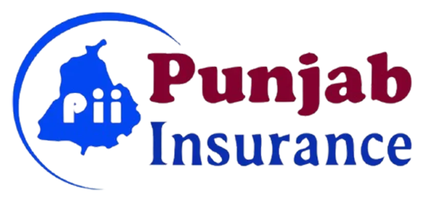 Punjab Insurance USA