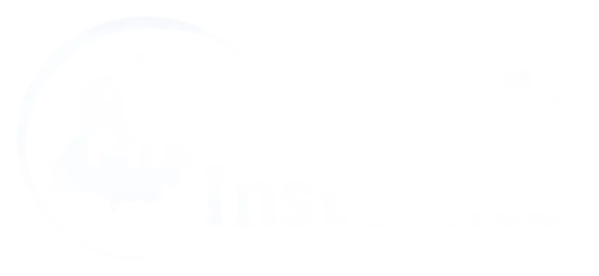 Punjab Insurance USA